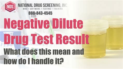 what is a dilute drug test